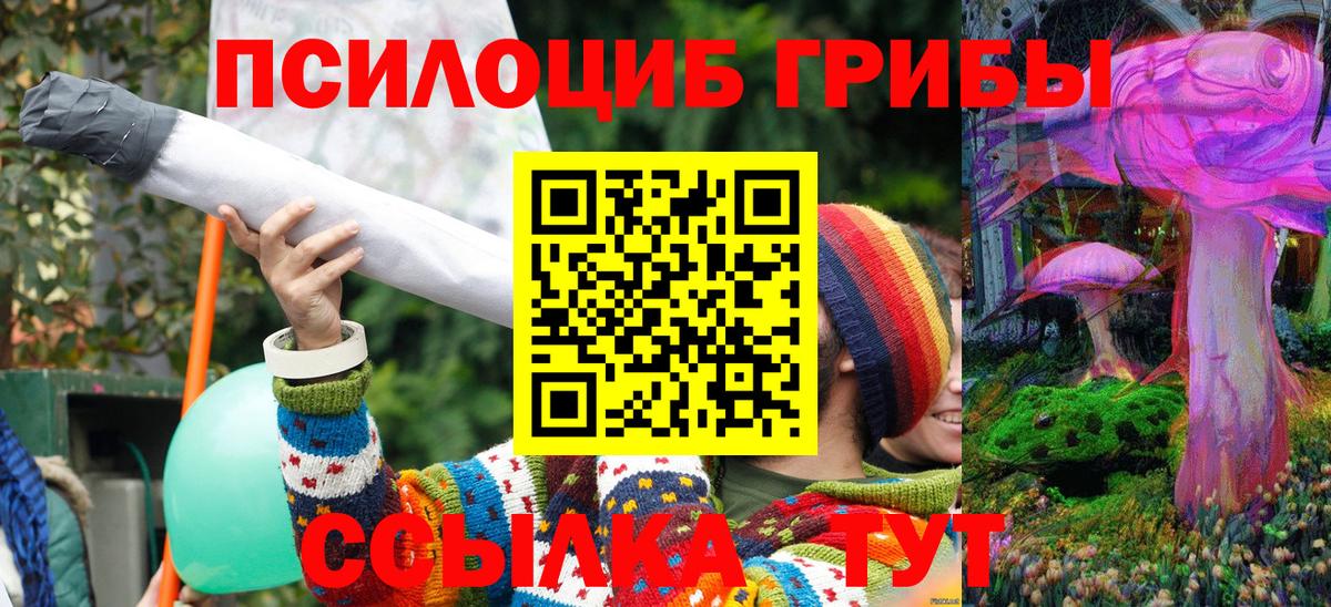 Галлюциногенные грибы Magic Shrooms Полысаево